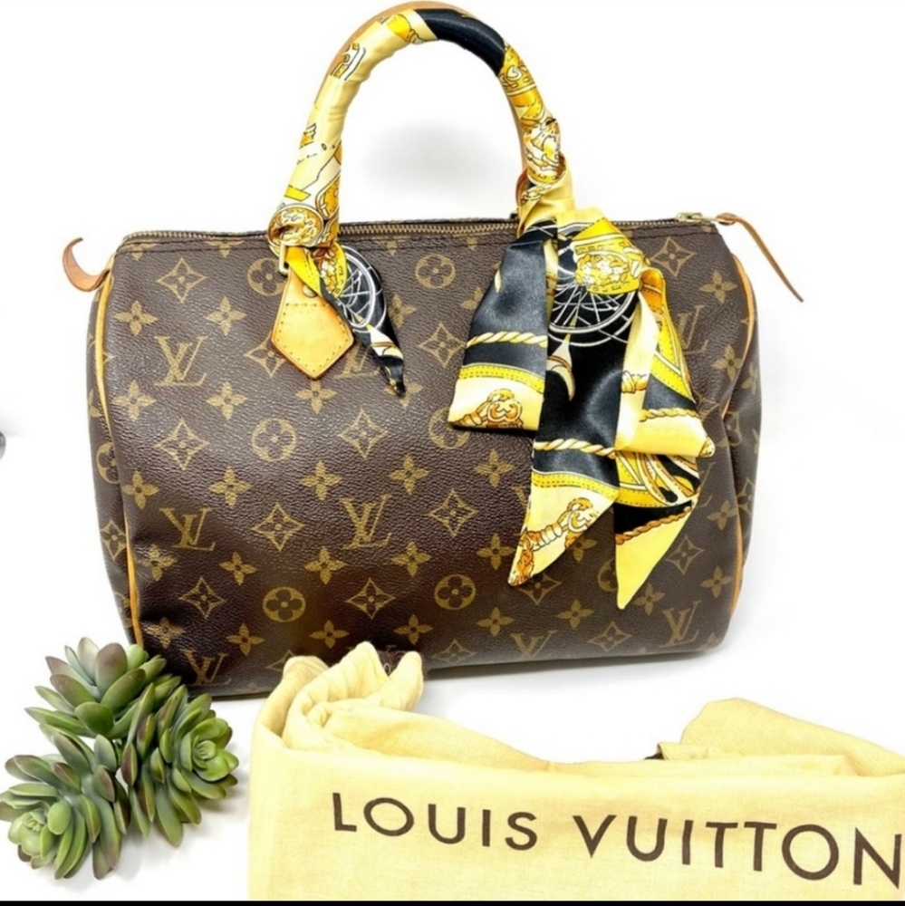 100% ORIGINAL Louis Vuitton Speedy 30 Hand Bag